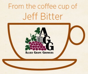 Jeff Cup