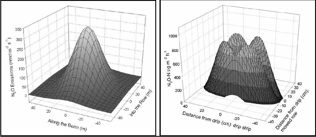 Figure 7: Spatial models of emissions after drip fertigation with 7.5 pounds N per acre using KNO3 show how the N2O plume in the drip zone can be quantified spatially. Left panel shows a plume resulting from continuous N application in 20 gallons of fertigation solution over six hours. Right panel shows effects when nitrogen applied through the drip system was pulsed at hour-3, then chased with two hours of irrigation water (REPRINTED WITH PERMISSION OF THE AMERICAN CHEMICAL SOCIETY, OR, from D.R. Smart et al. N2O emissions and water management in California perennial crops. pp. 227-255 In Guo, L, AS Gunasekara and LL McConnell (Eds.) Understanding Greenhouse Gas Emissions from Agricultural Management, American Chemical Society, Baltimore, Md.
