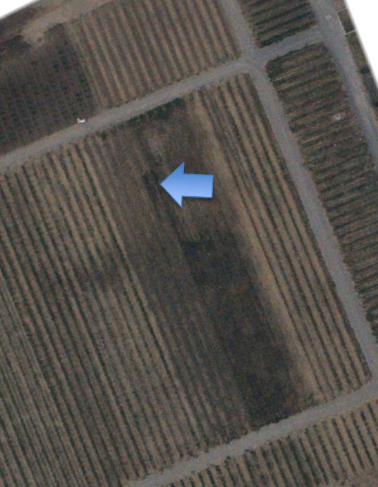 Figure 2: Normal color photo of irrigation Leak at the UC Davis V&E Department Vineyard in from of May 1st to May 15th 2014