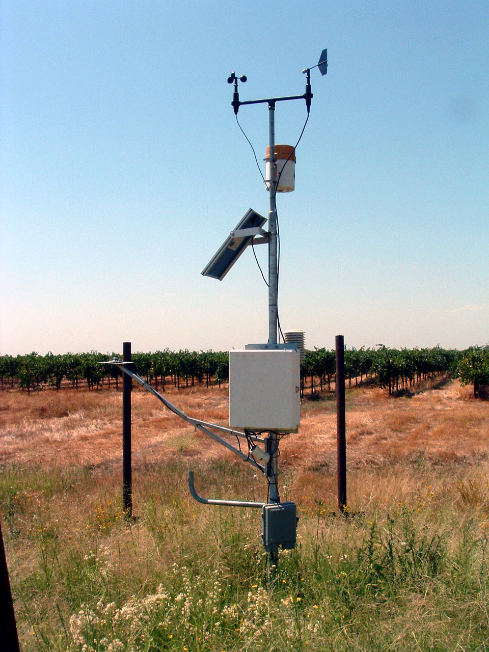 Regulated Deficit Irrigation Part II Lodi Growers