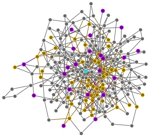 Figure 3 – Conceptualization of Lodi’s social network of knowledge sharing. Aqua: CE farm adviser, Orange: grower + outreach, Purple: outreach, Grey: grower. 