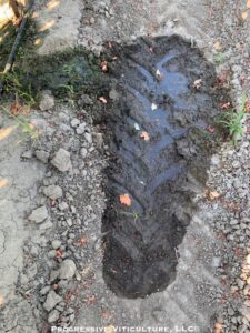 <strong>Fig. 2.</strong> Surface soil compacted under traffic while wet.<br />Source: Progressive Viticulture, LLC ©