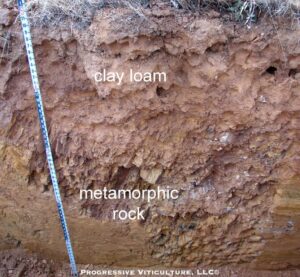 Figure 2. Auburn soil profile near Jamestown, California. Source: Progressive Viticulture, LLC ©