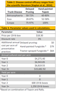 preventative vineyards grape scenarios