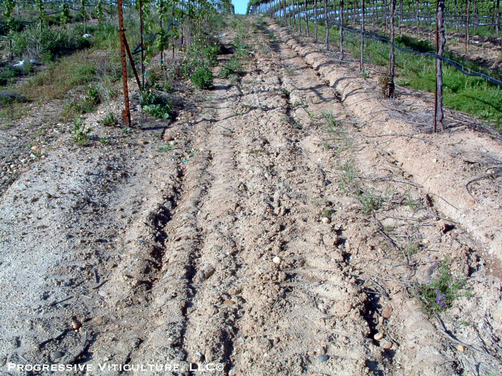 Fig. 5. Surface soil lost through erosion decreases vineyard floor permeability to air and water. (Photo Source: Progressive Viticulture, LLC©)