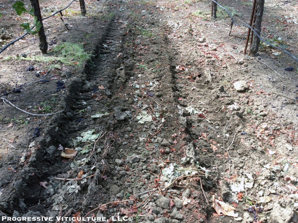 Fig. 6. The low porosity of moist soil compacted under the weight of tractor wheels restricts air and water transfer across a vineyard floor. (Photo Source: Progressive Viticulture, LLC©)