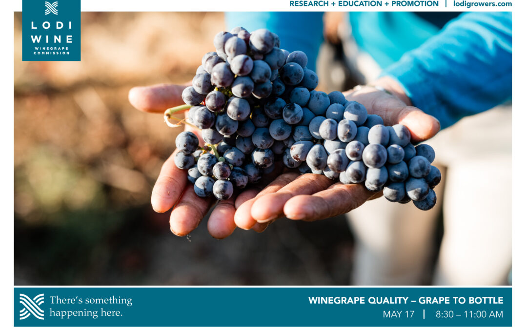 WINEGRAPE QUALITY – GRAPE TO BOTTLE | 5.17.22