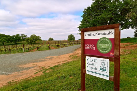 Sustainable and organic certified signs in Bokisch Vineyards' Terra Alta Vineyard, in Lodi's Clements Hills appellation.