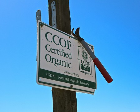 Certified organic signage in The Lucas Winery's ZinStar Vineyard.