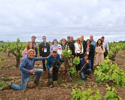 The SommFoundation sommeliers in Bechthold Vineyard with Lodi vintners — Greg Burns (Jessie's Grove), Greg La Follette (Marchelle), David Phillips (Michael David), Stuart Spencer (St. Amant) and Mike McCay (McCay Cellars).