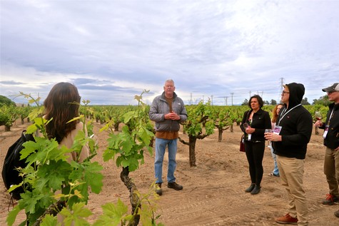 m2 Wines owner/winemaker Layne Montgomery talking about 1916 Zinfandel planting in Lodi's Soucie Vineyard.