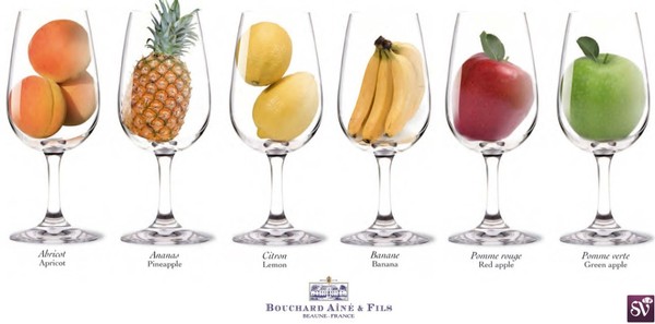 Examples of fruit commonly suggested in the aromas of wines, as suggested in a chart designed by France's Bouchard Aîné & Fils.