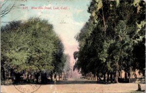 Around 1909, Downtown Lodi's W. Elm St., still unpaved, lined with towering trees.
