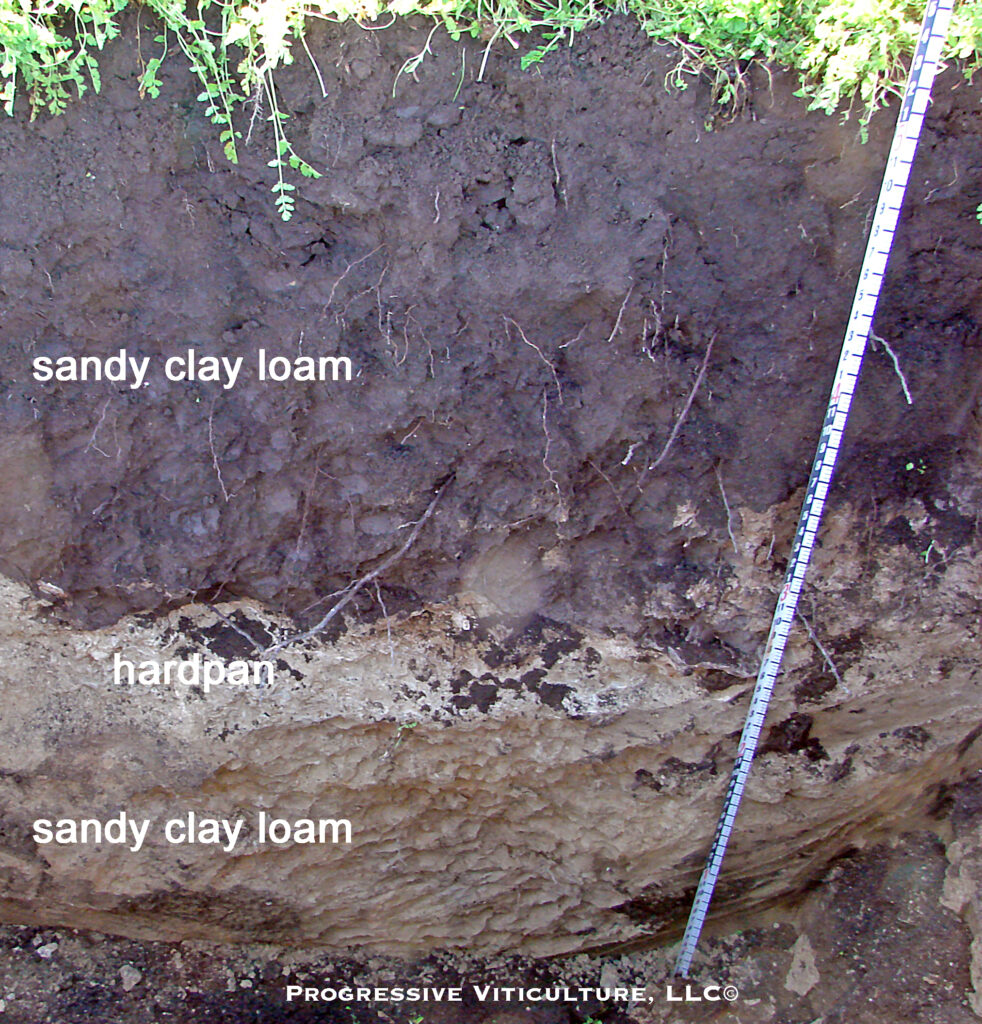 Fig. 3. A soil profile that includes a subsoil hardpan layer. Lodi, California. (Photo Source: Progressive Viticulture, LLC©)