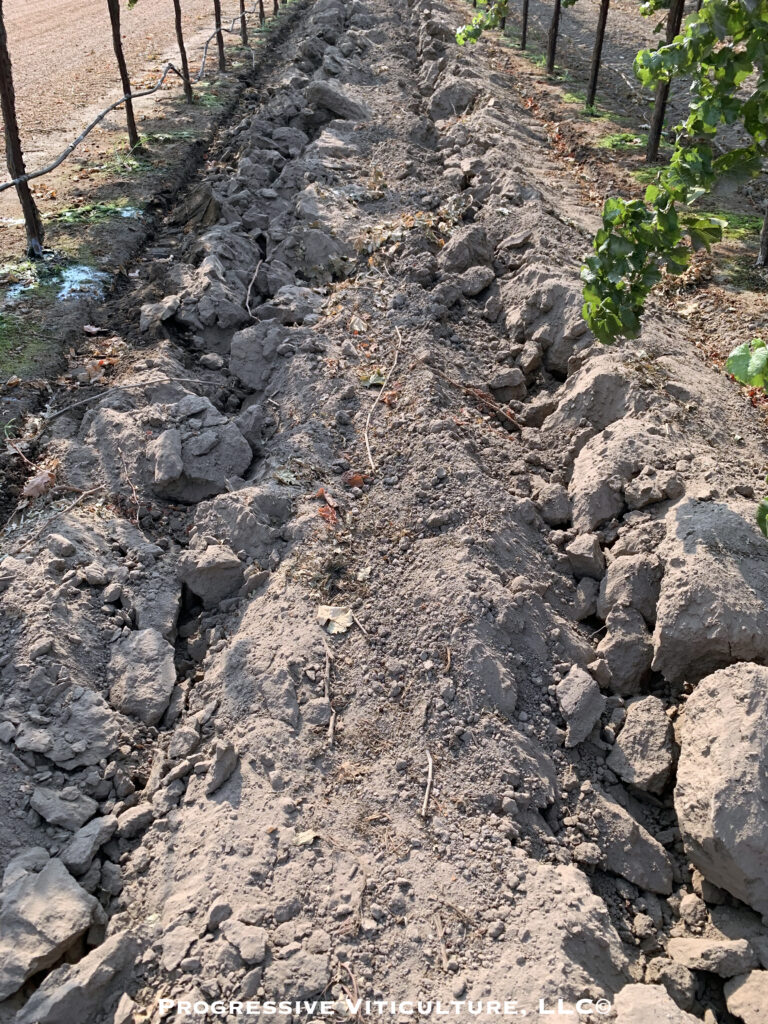 Fig. 5. Sandy loam ripped after harvest adjacent to vine rows to mitigate soil compaction. Lodi, California. (Photo Source: Progressive Viticulture, LLC©)
