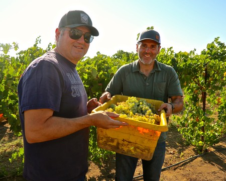 John and Jeff Perlegos with their 2022 Assyrtiko harvest.