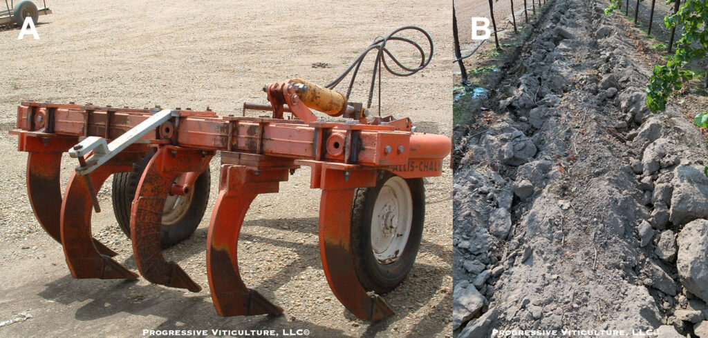 Fig. 2. (A) A multi-shank vineyard ripper with parabolic shanks and (B) a vineyard ripped adjacent to the vine rows to alleviate equipment induced soil compaction. (Photo Source: Progressive Viticulture, LLC©)