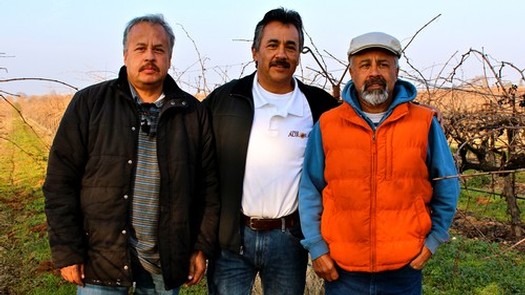 hree of the four Anaya brothers: Ramon, Gerardo and Victor Jr.