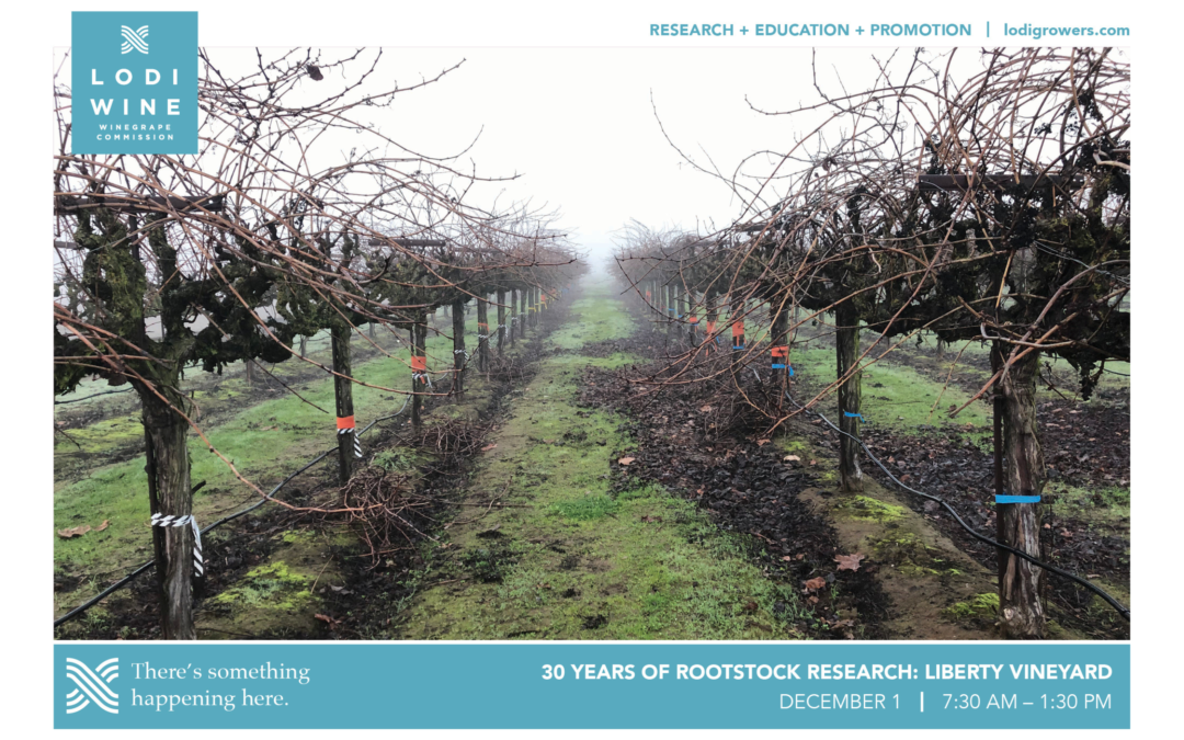 “30 YEARS OF ROOTSTOCK RESEARCH: LIBERTY VINEYARD” EVENT