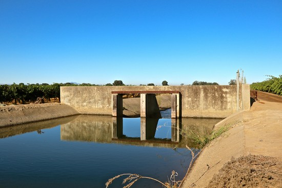 Woodbridge Irrigation Canal, fed by the Mokelumne River, during the 2022 harvest.