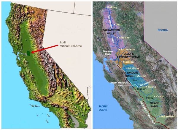 California's Central Valley, a flat basin that was once an inland sea, with its four distinctive watersheds (right), the Lodi AVA occupies the area immediately adjacent to the Sacramento-San Joaquin River Delta emptying into the San Francisco Bay.