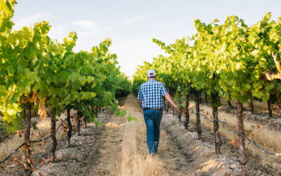 UC DAVIS VITICULTURE & ENOLOGY “ON THE ROAD” IN LODI