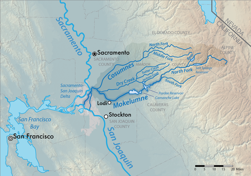 The Mokelumne River watershed area—sandwiched between the Sierra Nevada foothills and the Sacramento-San Joaquin Delta emptying into San Francisco Bay—marked by phenomenonally deep, sandy alluvium, defining Lodi's Mokelumne River AVA.