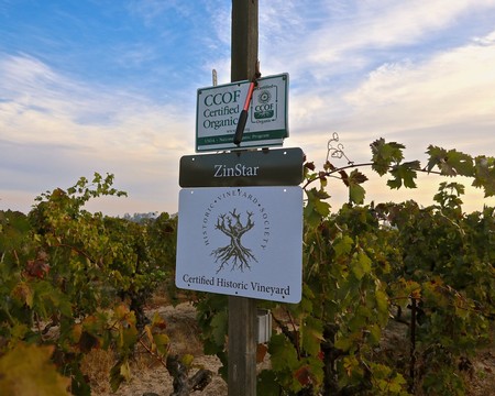 Certified organic and Historic Vineyard Society signs in ZinStar Vineyard.