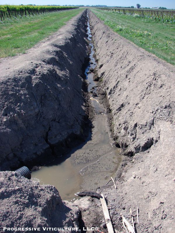 Fig. 1. A high capacity drainage ditch between two vineyards. (Photo source: Progressive Viticulture©) 