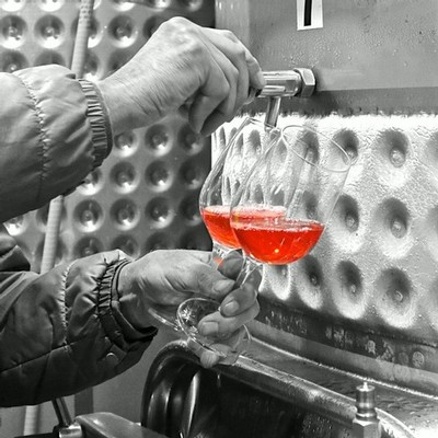 Dry style, pink, Lodi-grown Zinfandel going into m2 Winery Rosé.