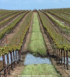 Figure 2. The risk of frost is high in low areas where cold air settles.<br />Photo source: Progressive Viticulture, LLC ©