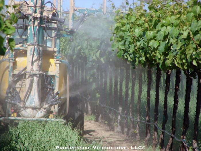 Figure 4. Complete canopy spray coverage is one of the keys to success for foliar fertilization.(Photo Source: Progressive Viticulture, LLC©) 